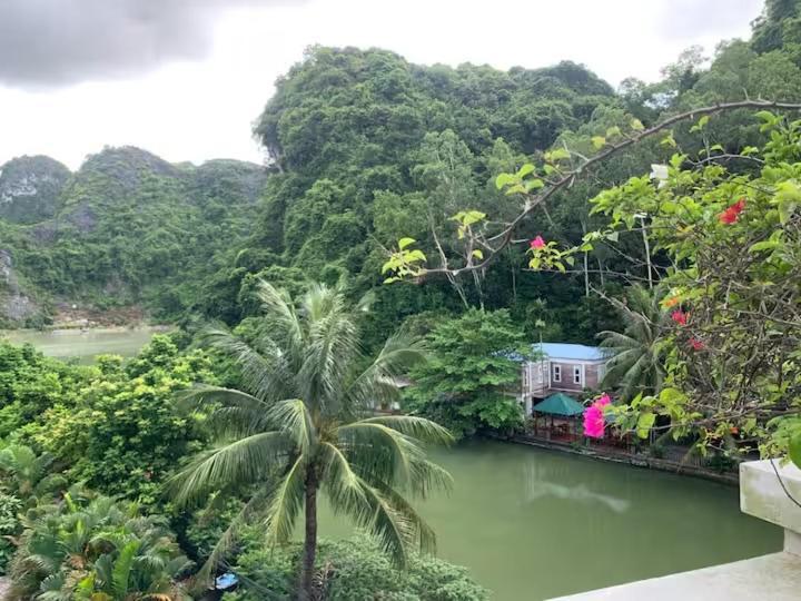 Catba Backpackers Hostel & Pool Bar Chan Chau Kamer foto